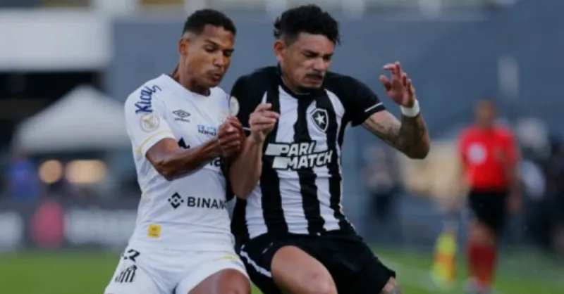 Ingressos Santos x Botafogo: Garanta seu lugar na Vila Belmiro pelo Brasileirão