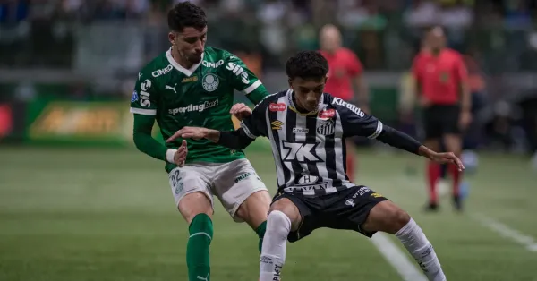 Santos x Palmeiras: Confronto Decisivo Pelo Brasileirão